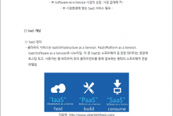 中, SaaS(Software-as-a-Service)시장 분석