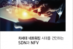 차세대 네트워킹 시대를 견인하는 SDN과 NFV