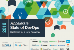 Accelerate: State of DevOps 2018: Strategies for a New Economy