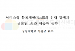 서비스형 블록체인(BaaS)의 선택 방법과 글로벌 BaaS 제공자 동향