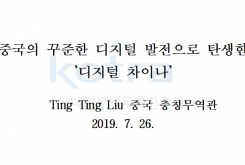 중국의 꾸준한 디지털 발전으로 탄생한 '디지털 차이나'