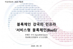 [2020-06호] 블록체인 강국의 인프라 '서비스형 블록체인(BaaS)'