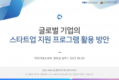 글로벌 기업의 스타트업 지원 프로그램 활용 방안